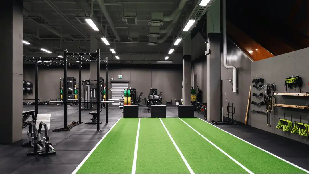 Mind2Muscle — träningsyta i Sollentuna